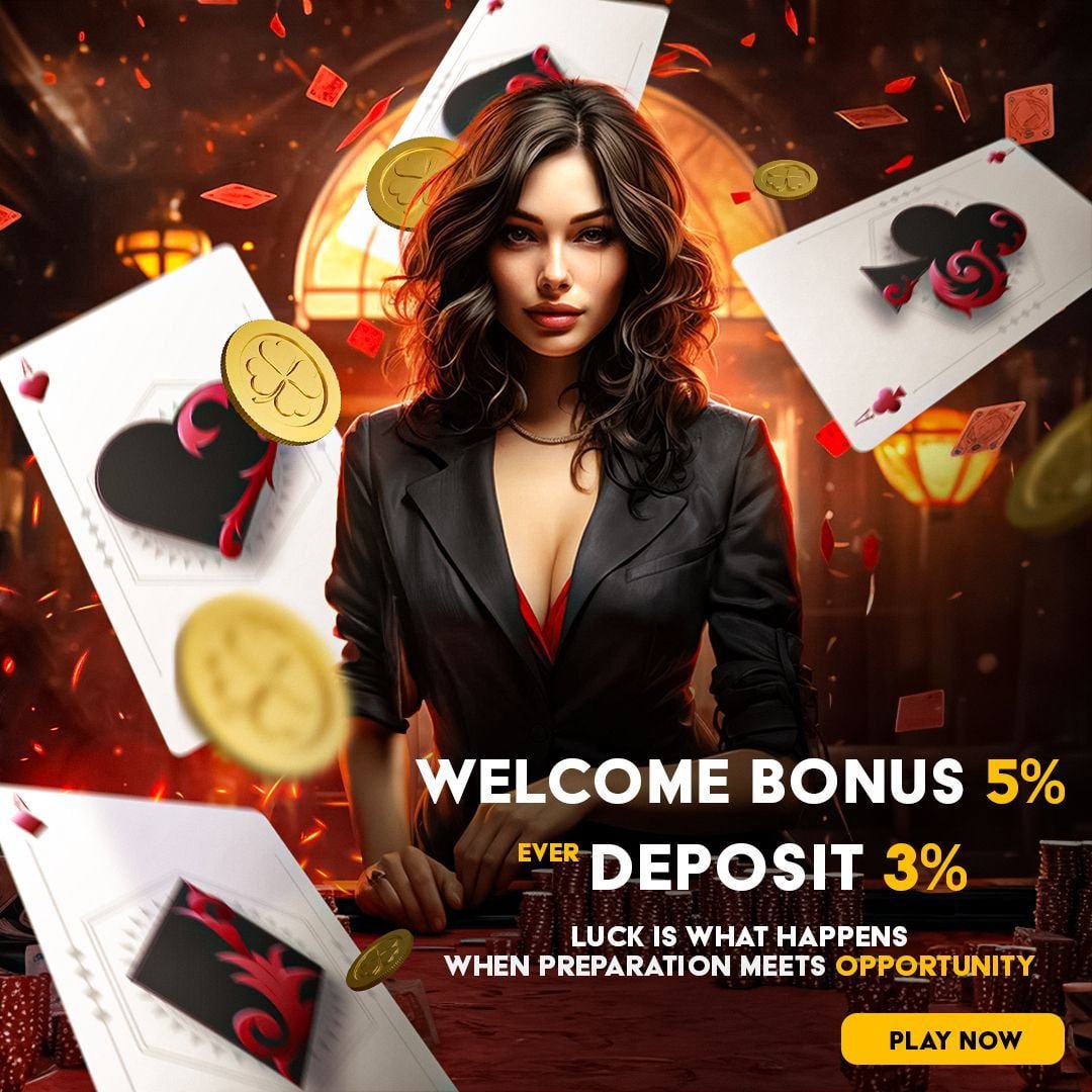 kucing4d new live-dealer studio with broadcast feed and betting controls